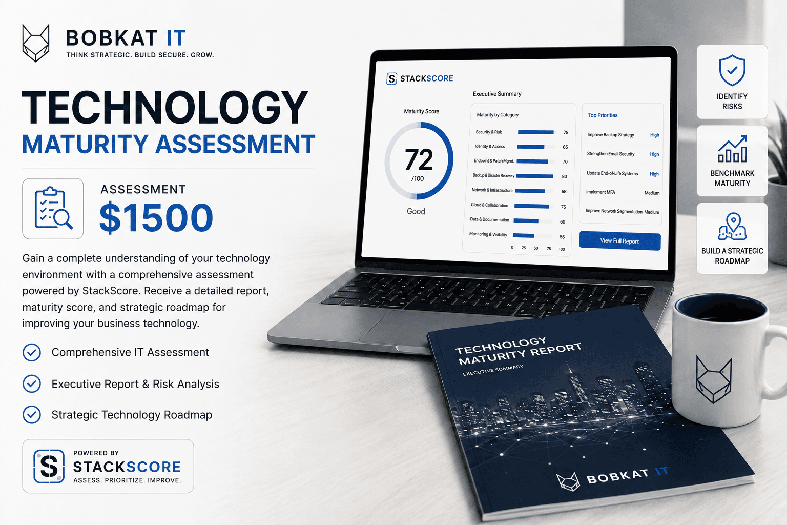 Bobkat IT Technology Maturity Assessment service preview